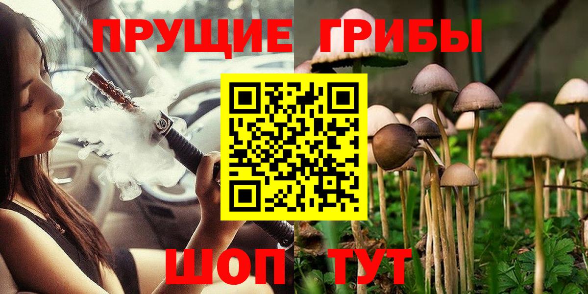Псилоцибиновые грибы прущие грибы  Вход с VPN  Новокуйбышевск 
